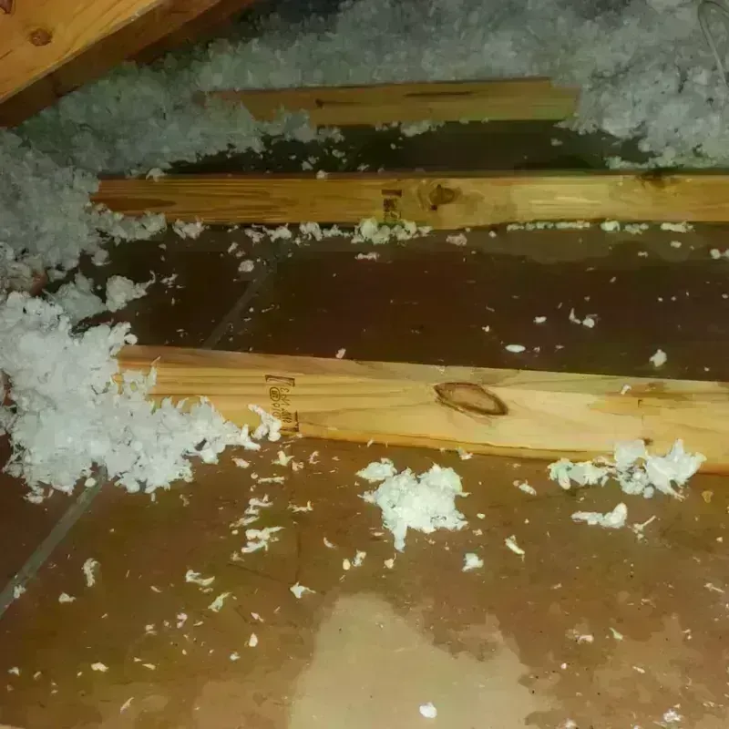 Attic Water Damage in Edmunds County, SD