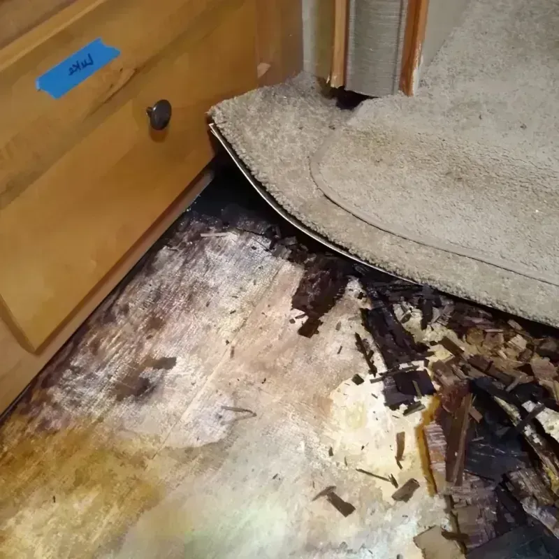 Wood Floor Water Damage in Edmunds County, SD